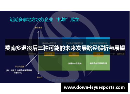 费南多退役后三种可能的未来发展路径解析与展望 费南多退役后三种可能的未来发展路径解析与展望