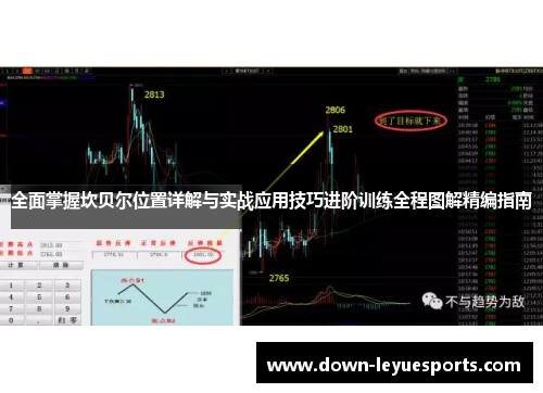 全面掌握坎贝尔位置详解与实战应用技巧进阶训练全程图解精编指南