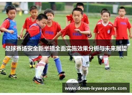 足球赛场安全新举措全面实施效果分析与未来展望