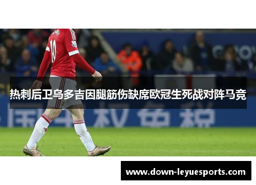 热刺后卫乌多吉因腿筋伤缺席欧冠生死战对阵马竞